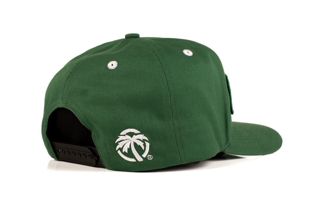 Back view of the Heat Wave Visual Split Billboard Alpine Green Hat.