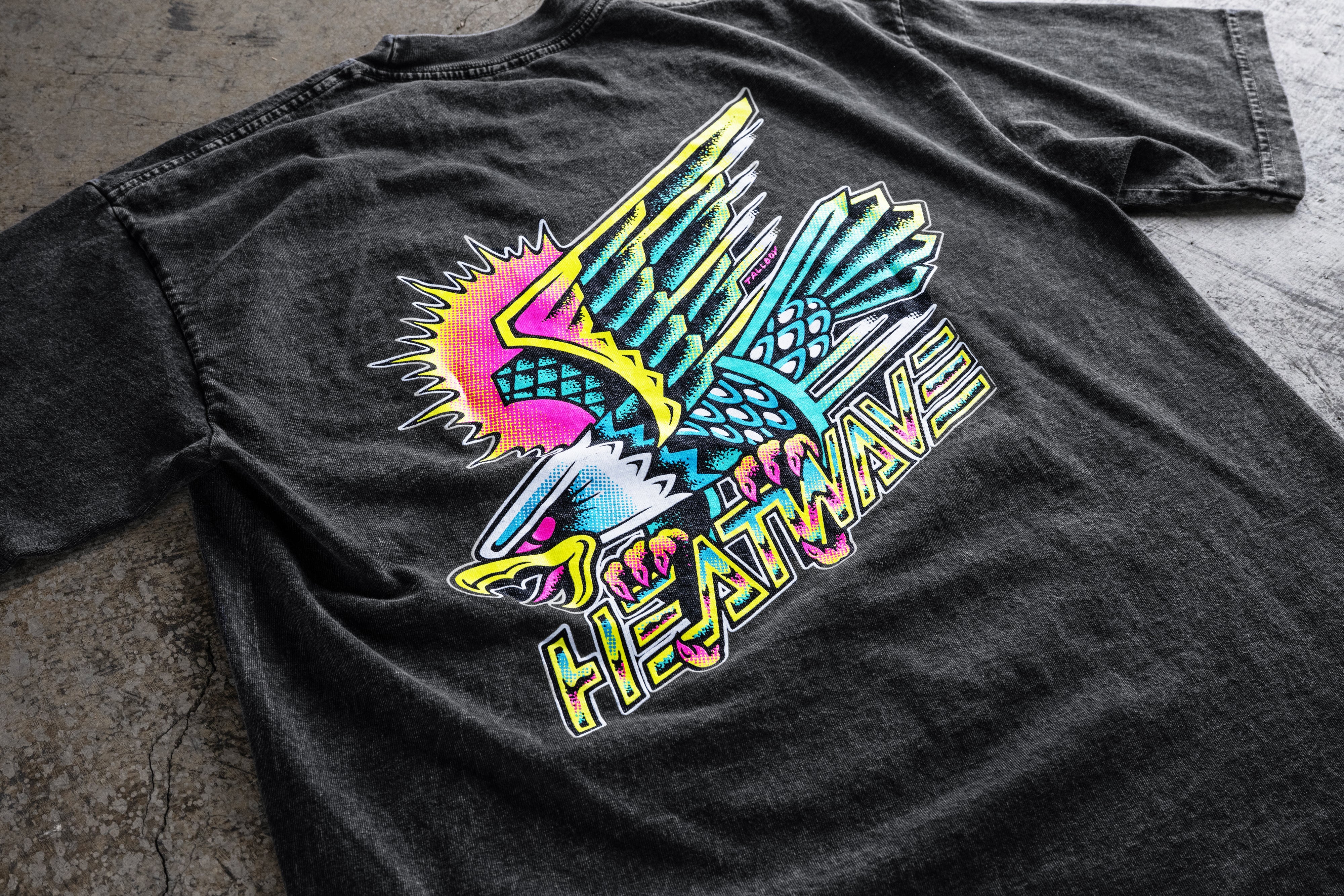 Heat Wave Electric Eagle T-Shirt Mineral Wash