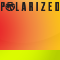 POLARIZED Sunblast on Neon Livewire Frame