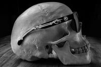 Regulator Sunglasses: BONES Customs